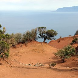 Kanarischer Herbst mit deutschem Intermezzo