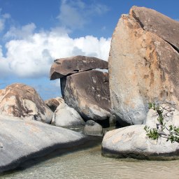 Nature’s little Secrets…