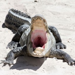 Donnerwetter, das fängt ja gut an!