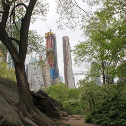 NYC – Landgang in einer aufregenden, bewegenden Metropole